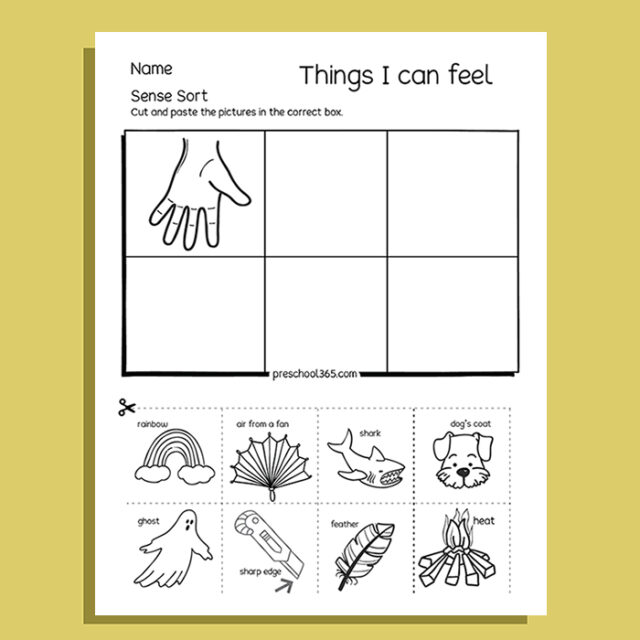 My Five Super Senses Activity Pack (20 activities)