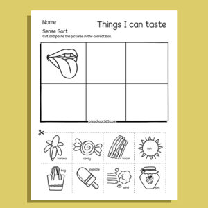 My Five Super Senses Activity Pack (20 activities)