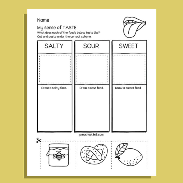 My Five Super Senses Activity Pack (20 activities)