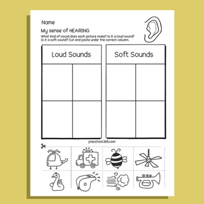 My Five Super Senses Activity Pack (20 activities)