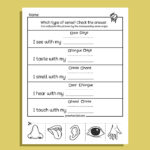 My Five Super Senses Activity Pack (20 activities)