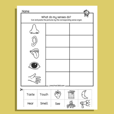 My Five Super Senses Activity Pack (20 activities)