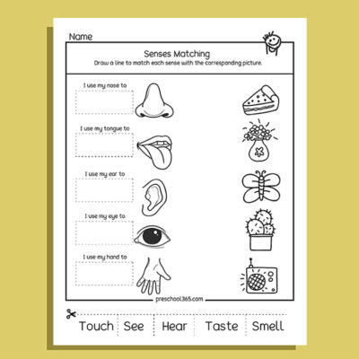 My Five Super Senses Activity Pack (20 activities)