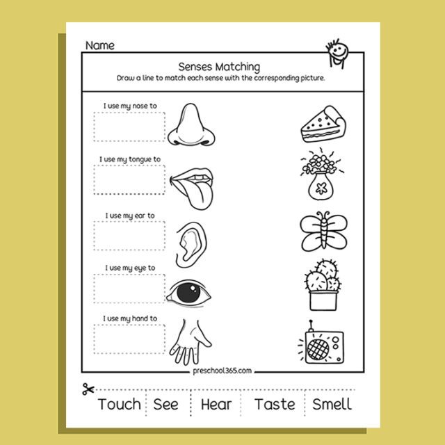 My Five Super Senses Activity Pack (20 activities)