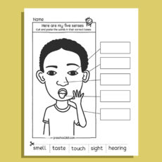 My Five Super Senses Activity Pack (20 activities)