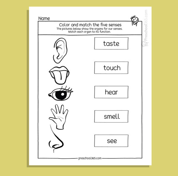 My Five Super Senses Activity Pack (18 activities)