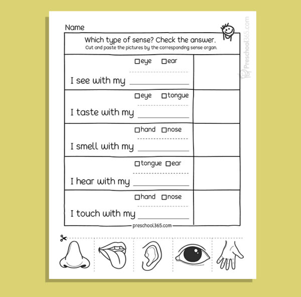 My Five Super Senses Activity Pack (18 activities)