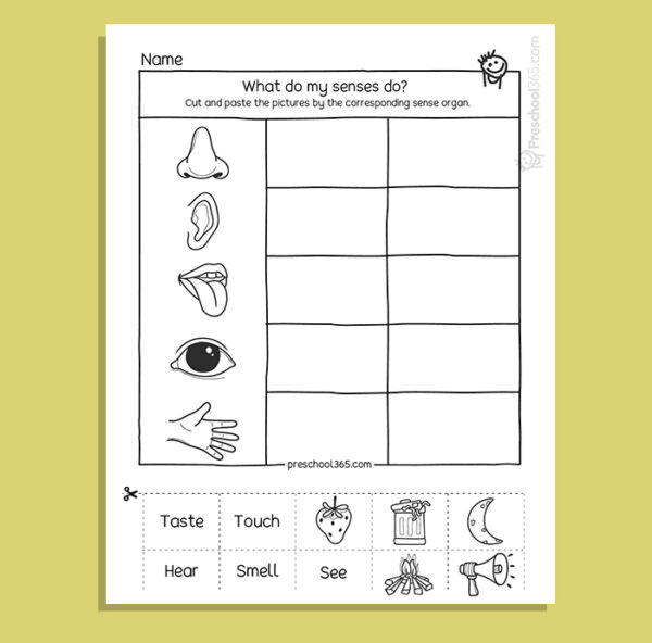 My Five Super Senses Activity Pack (18 activities)