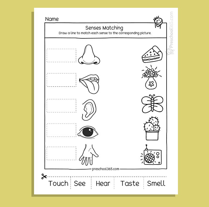 My Five Super Senses Activity Pack (18 activities)