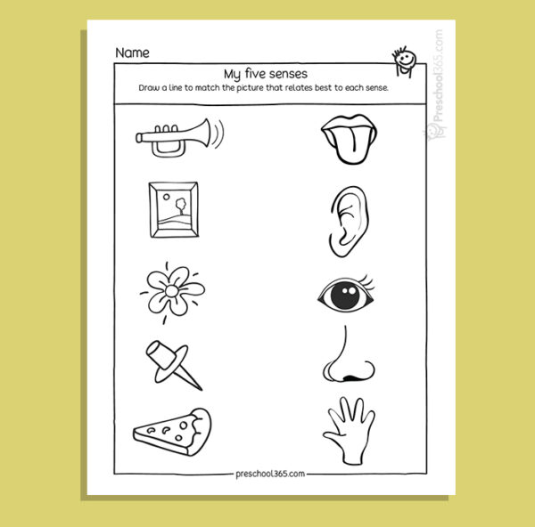 My Five Super Senses Activity Pack (18 activities)