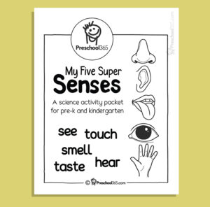 My Five Super Senses Activity Pack (20 activities)