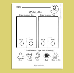 My Five Super Senses Activity Pack (18 activities)