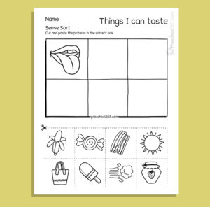 My Five Super Senses Activity Pack (18 activities)