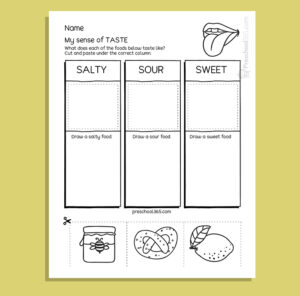 My Five Super Senses Activity Pack (18 activities)