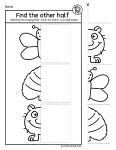 half symmetry worksheets