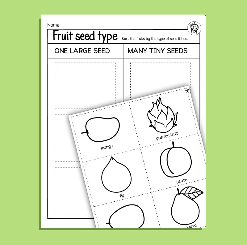 Circle the Small Fruits, Find Big or Small Worksheet for Kids