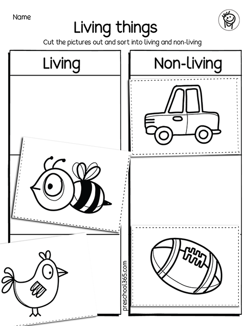 Living and non-pliving things sorting prek activity