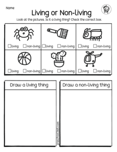 Living and non-pliving things sorting prek activity