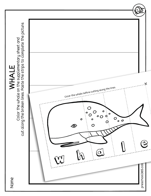 PreK whales sequence activity
