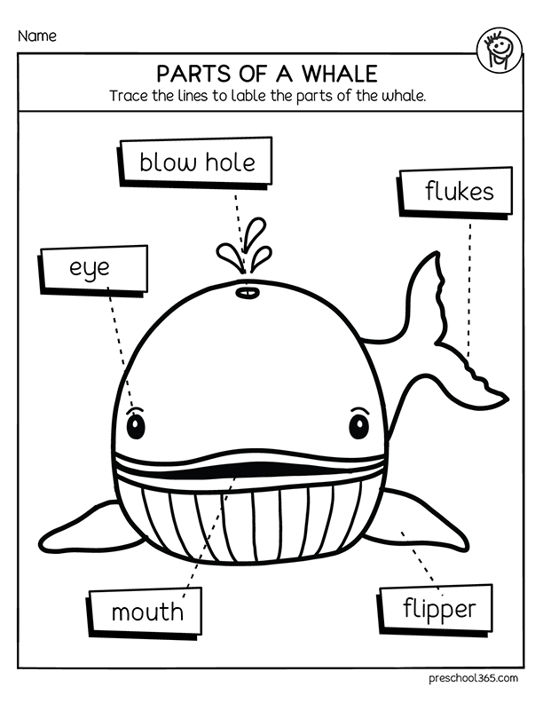 Fun homeschool parts of the whale worksheet