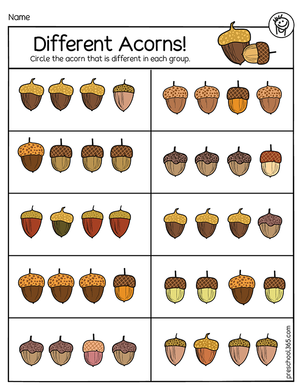 Acorns! Which is different prek worksheet