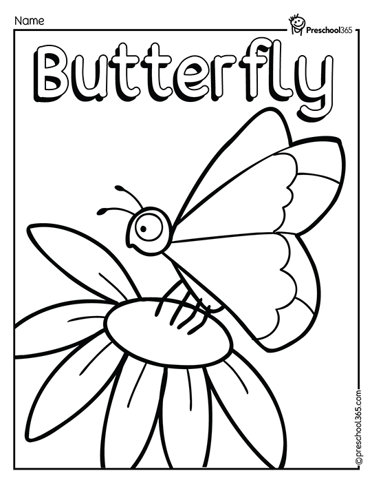 Fun butterfly coloring worksheet for kids
