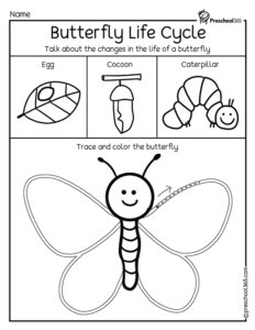 Butterfly-life-cycle-Preschool-Activity | Preschool365