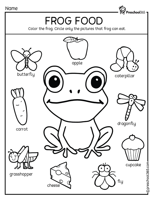 Cute Frog Theme Preschool perfect for spring kids science activities for preschool, frog worksheets, and activities