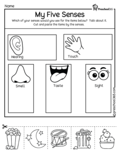 The Five Human Senses Basic Activities For PreK Children L2