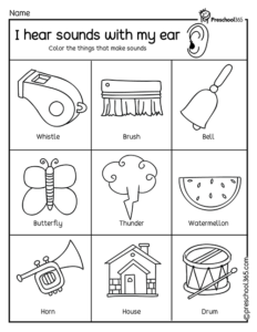 The Sense of Hearing PreK Science Worksheet