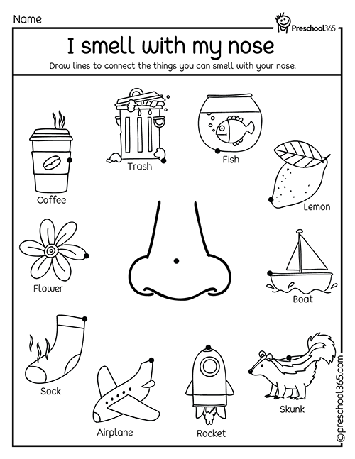 The Sense of Smell PreK Science Worksheet