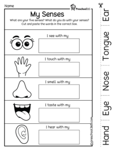 The-Five-Senses-Fun-Preschool-Activity-Worksheet | Preschool365