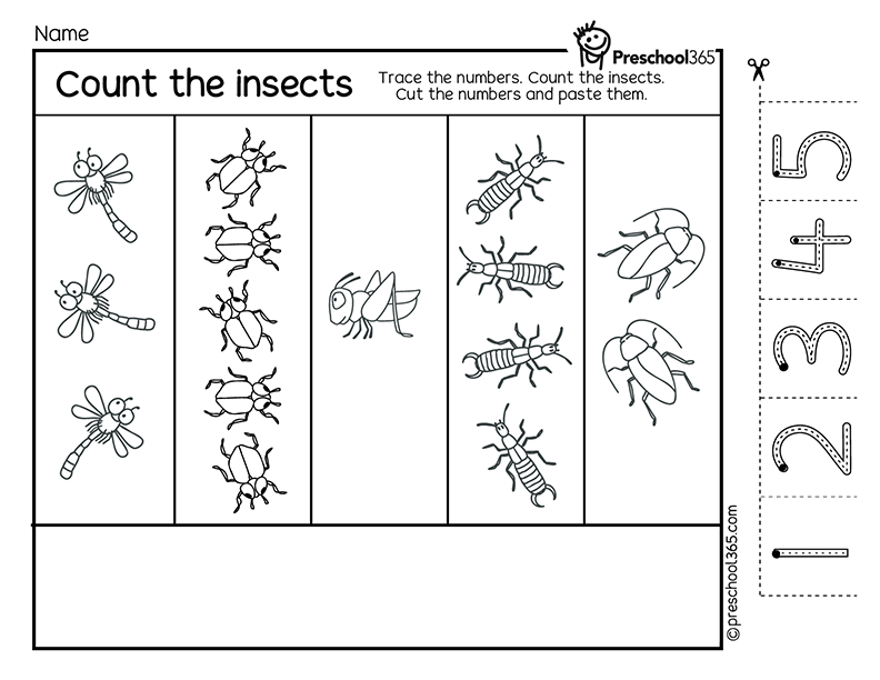 Insect counting activity worksheet