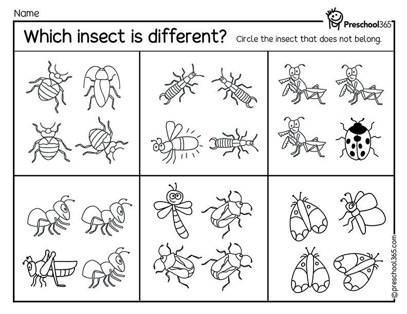 Preschool insects worksheets