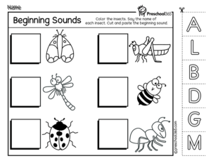 Insect theme beginning sounds