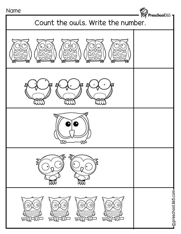 Owls counting activity worksheet for kids