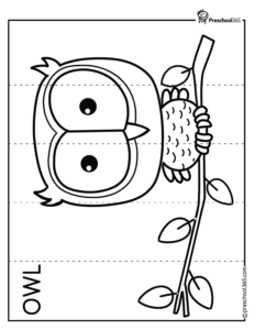 Owl coloring Puzzle Worksheet for kids
