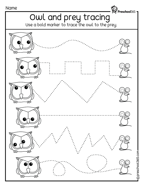 Free Owl Theme line tracing worksheet