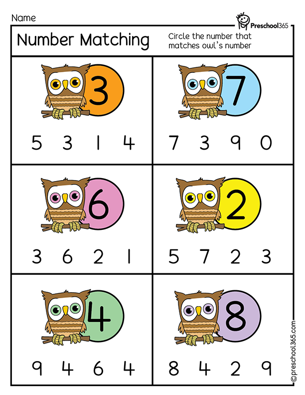 Owls Number worksheet for kids