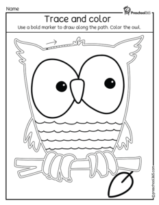 Owls Theme worksheet for kids in preschool