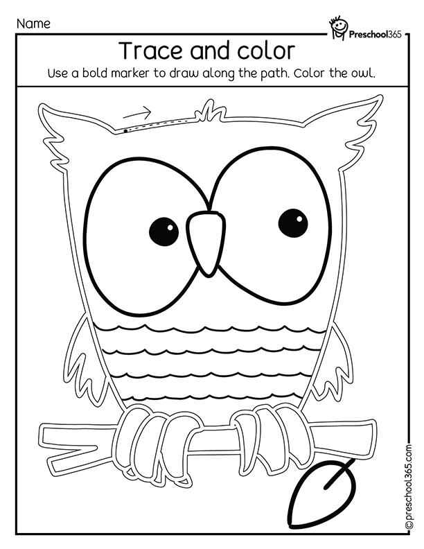 Owl Activity Sheets For Kids Pdf
