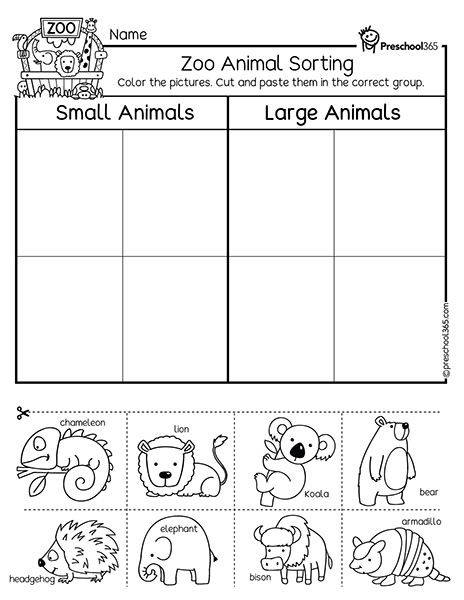 Zoo animal sorting worksheet