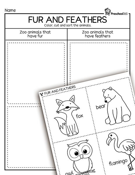 Free zoo animal sorting worksheets for kids